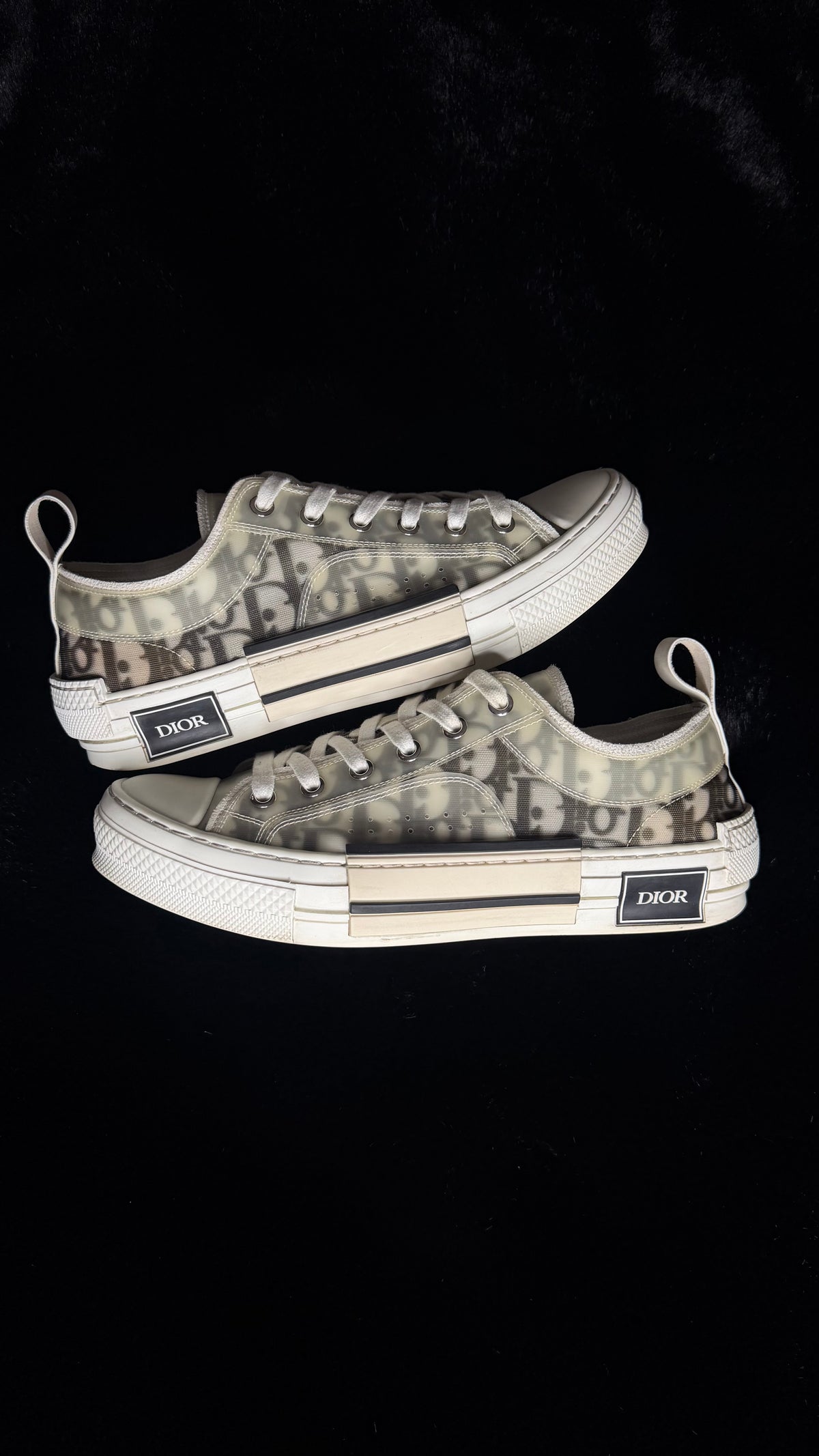 Dior B23 Low Size 39