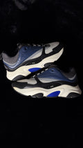 Dior b22 Blue/Black Size 42