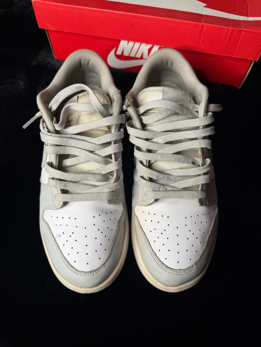 Nike Dunk Size 12