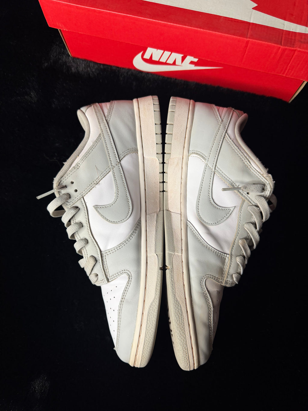 Nike Dunk Size 12